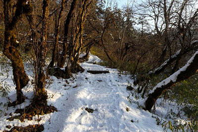 成都西嶺雪山VR漫遊